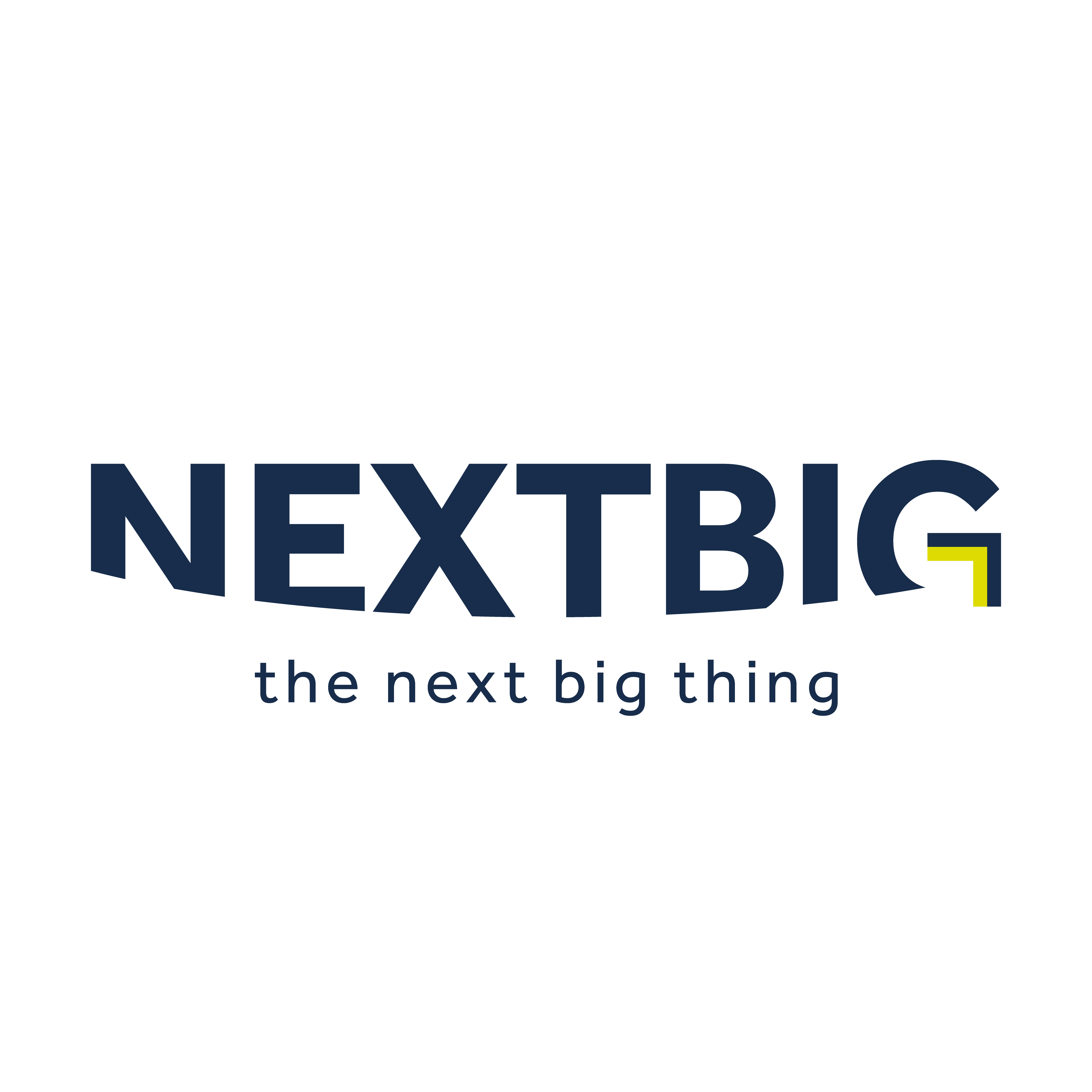 NextBig AI Logo